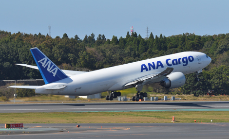ANA Cargo.jpg