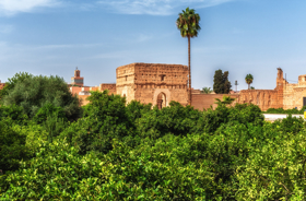 Marrakech 2 visual.jpeg