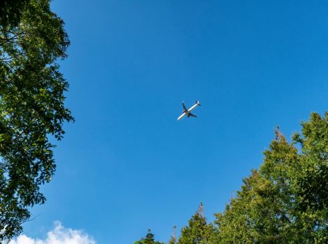 IATA Launches Supporting Alliance for CORSIA EEU Supply