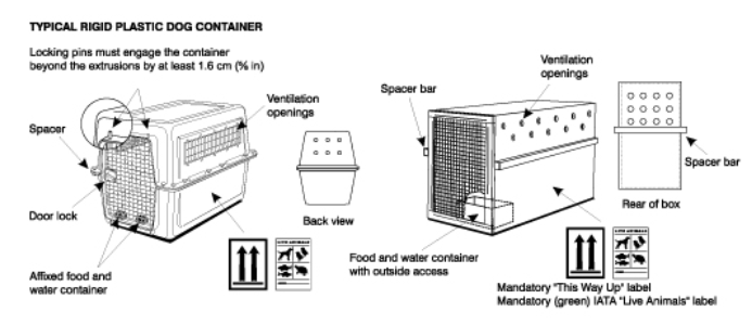 Typical rigid dog plastic container