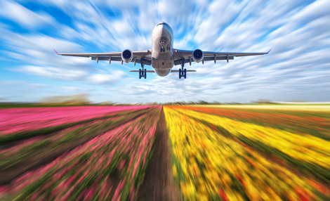 Aircraft-tulips.png