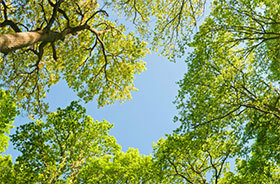 flight-environment.jpg