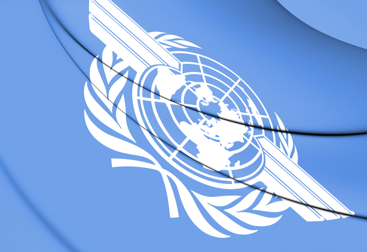 ICAO-Assembly.jpg