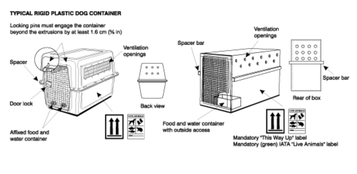 Typical rigid plastic dog container