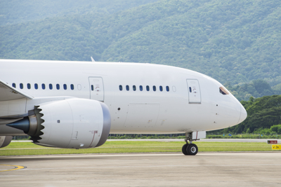 Airplane on runway.jpg