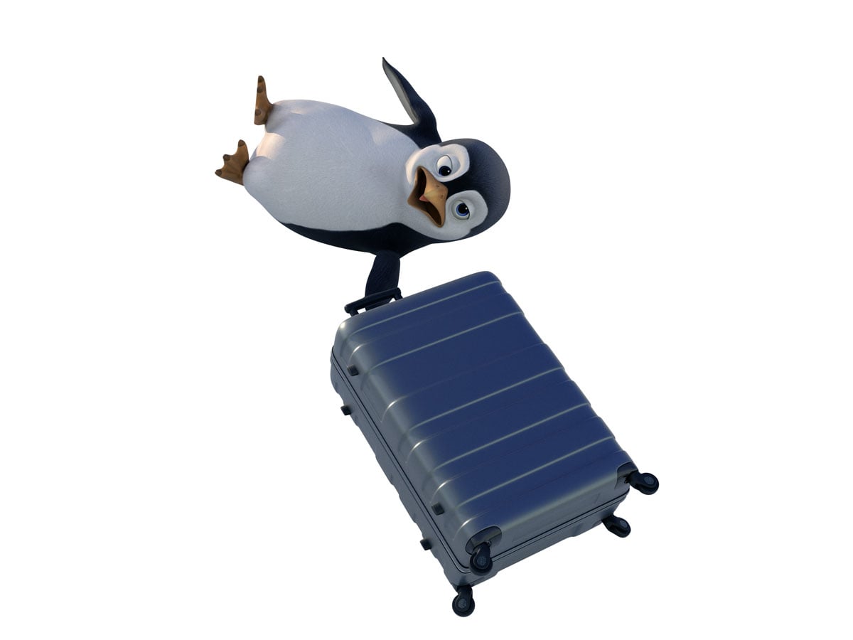 Penguin falling with luggage