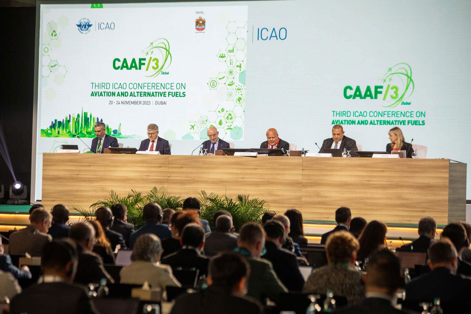 CAAF3.jpg