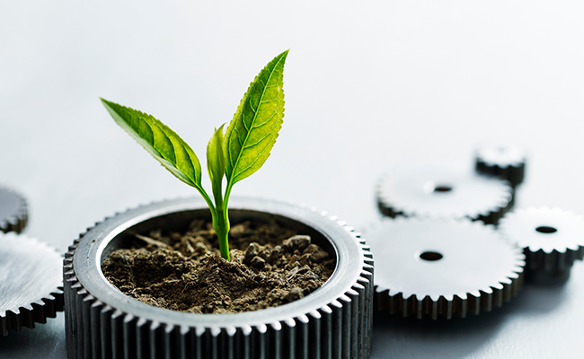 web_plant-cogs_credit_iStock-1263055085.png
