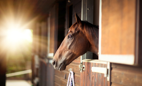 LAR Verify Webinar Image.jpg