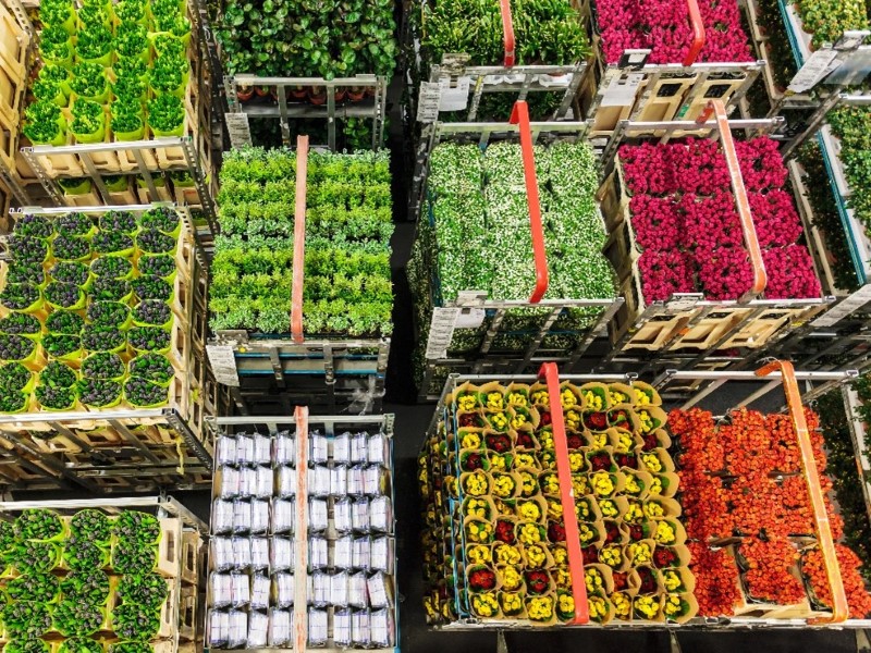 IATA - How to Avoid Loss and Waste of Perishable Goods When Shipping by Air