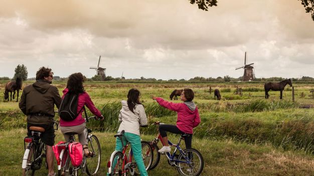 Dutch policy briefing.jpg