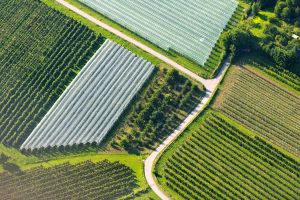 Sustainability-GroundOPSpage.jpg