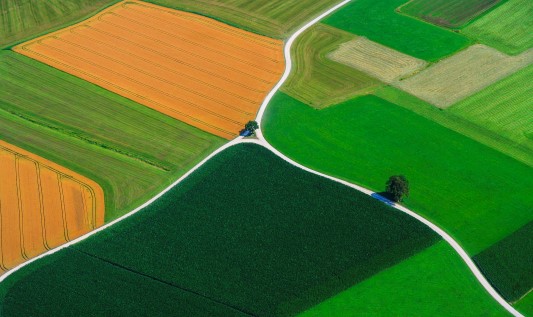 europe fields