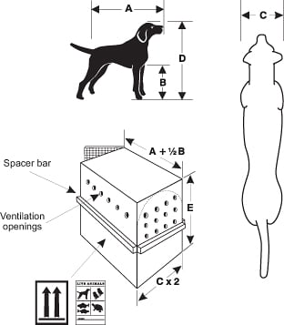 Pet Container Dimensions