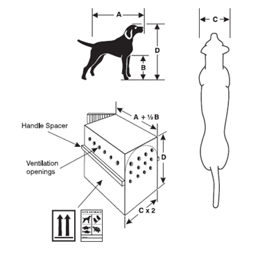 Pet Container Dimensions