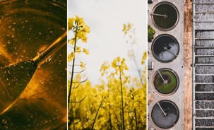 ZEERO diversification Jan 2026.jpg