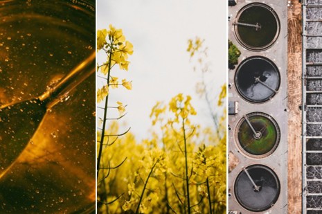 ZEERO diversification Jan 2026.jpg