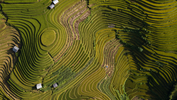 Asia Image.jpg