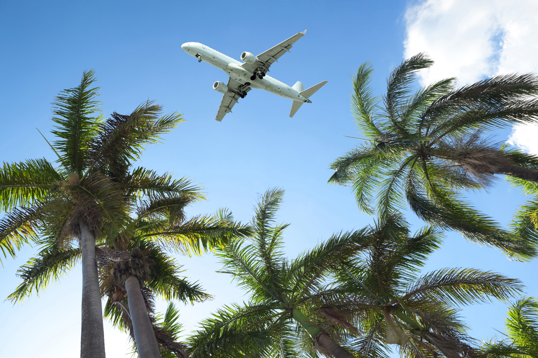 Summer travel plane.jpg