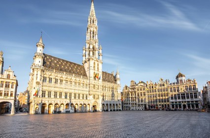 Brussels picture.jpg