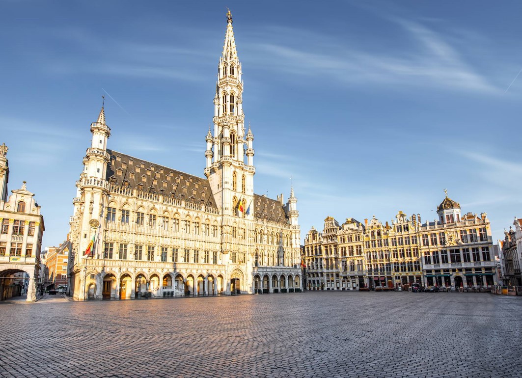 Brussels picture.jpg