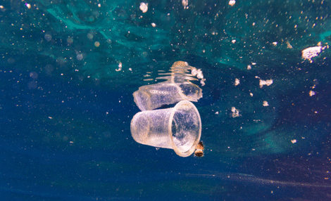 plastic-ocean-small.png