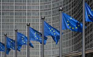 European Union Flags.jpg