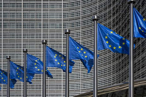 European Union Flags.jpg