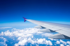 fly-2.jpg