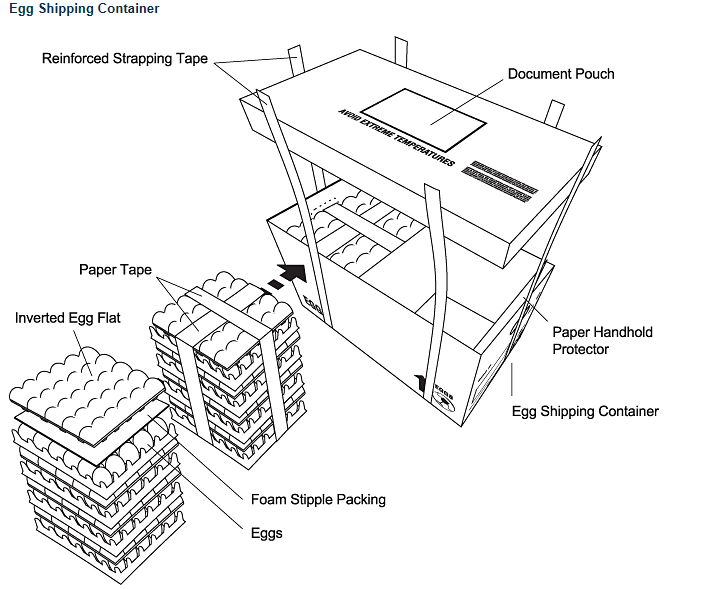 Egg shipping container