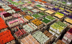 Crates of fresh flowers