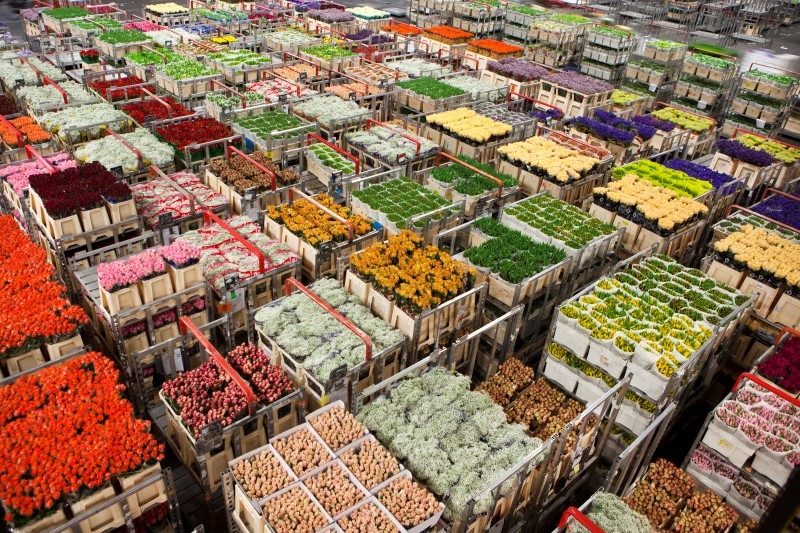 Iata Perishable IATA - How to Ship Perishable Goods by Air