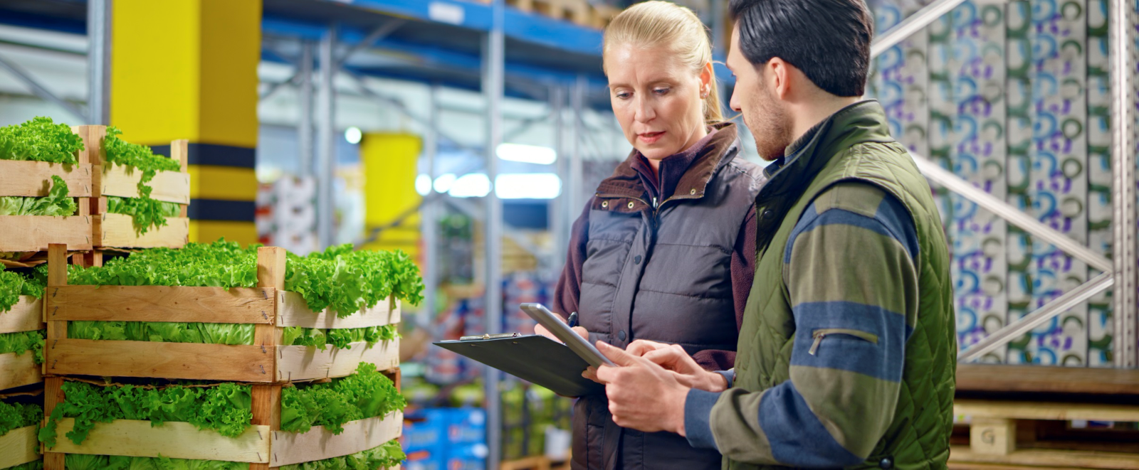 How to Ship Perishable Foods