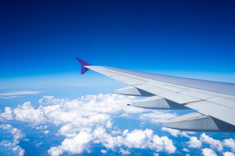 fly-2.jpg