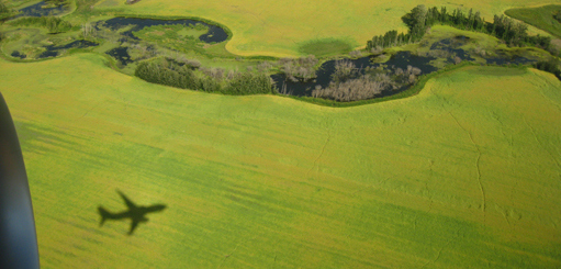 Environmental Management Systems in Aviation (ISO14001 based)