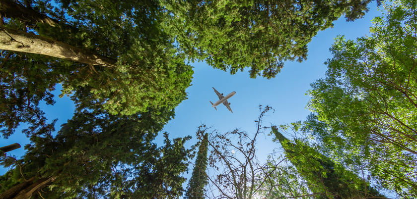 Carbon Markets and Aviation