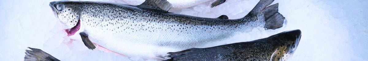 Курс авиационной подготовки IATA xxxxxx