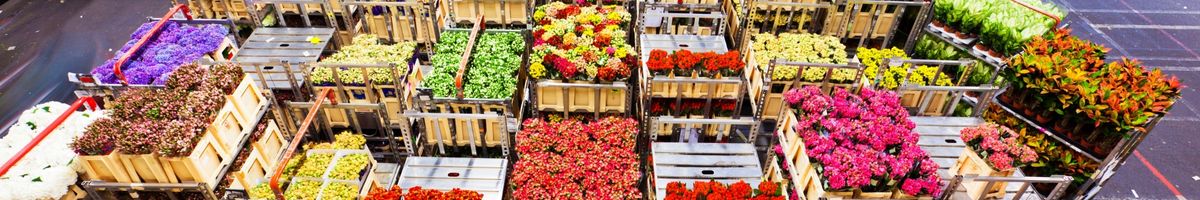 IATA 鲜活易腐货物运输 aviation training