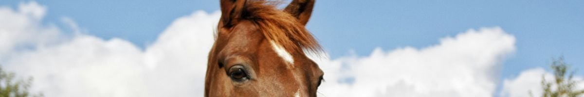 IATA xxxxxx aviation training course