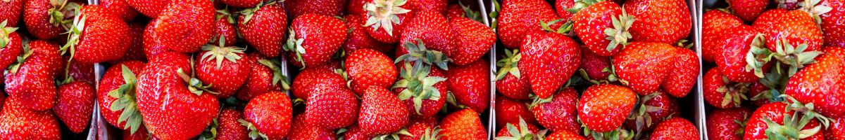 IATA Gestión Logística de Carga Aérea Perecedera aviation training course