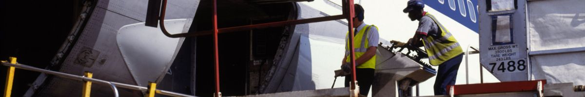 IATA Aircraft Weights Engineering for DCSs: Trimsheet Design & X565 Data aviation training course