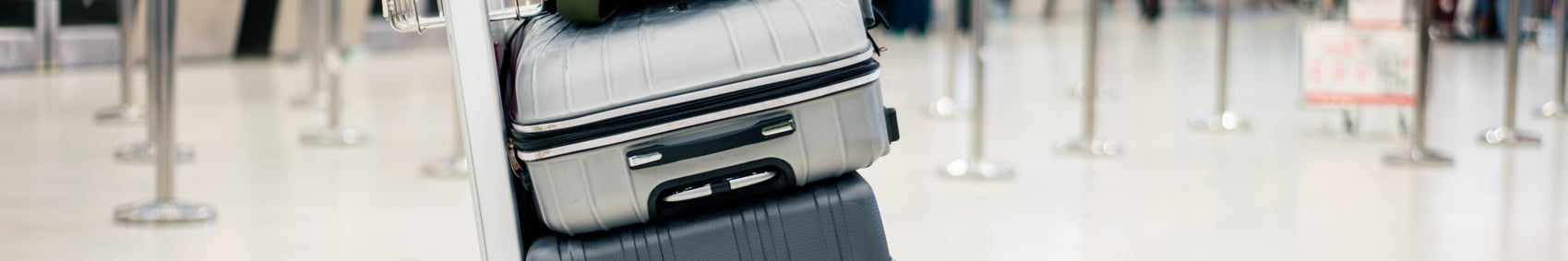 IATA Passenger Assessment and Travel Document Checks aviation training course