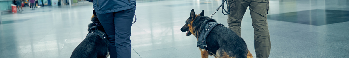IATA Aviation Security Management - Advanced aviation training course