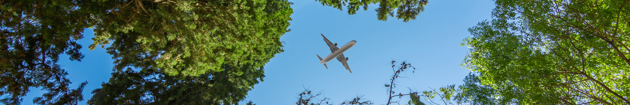 IATA Carbon Markets and Aviation aviation training course