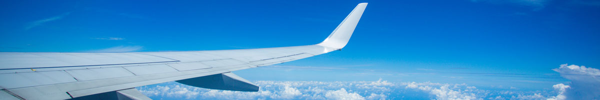 IATA Safety Risk Management (SRM) Workshop with Simulation aviation training course