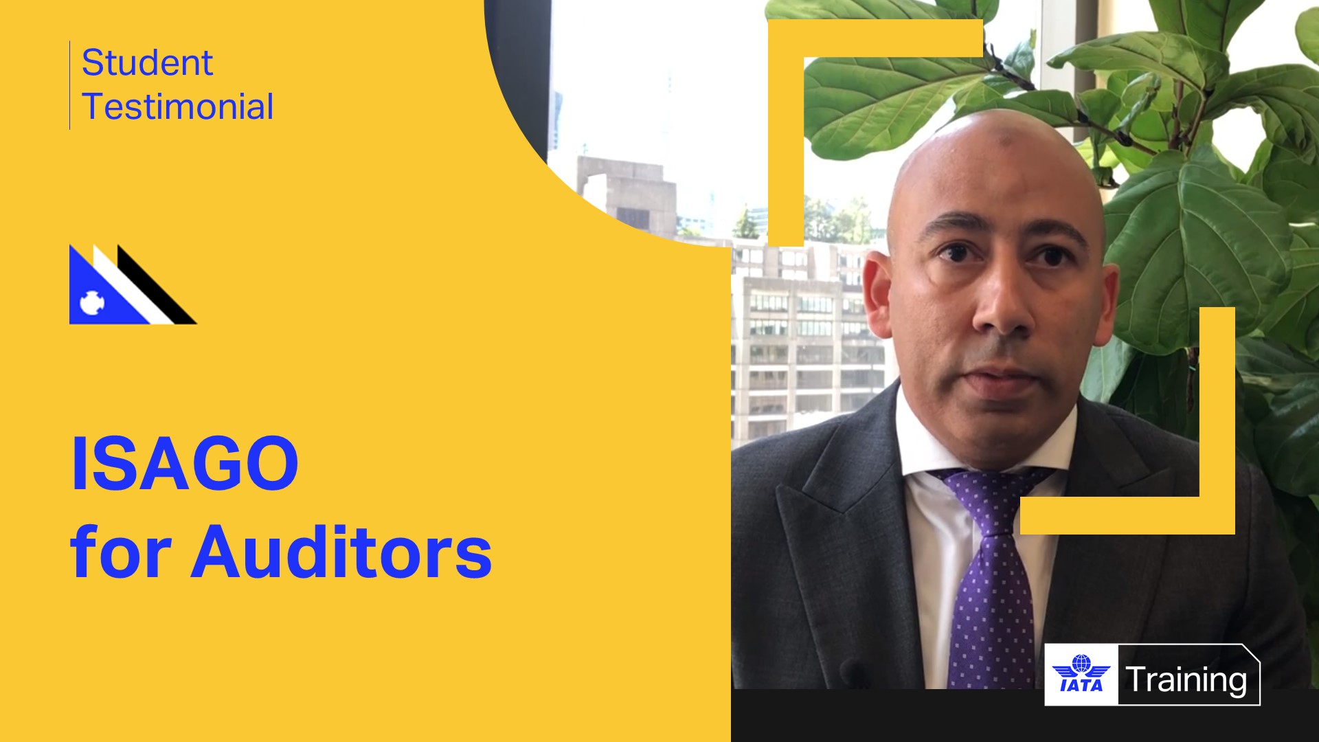 ISAGOforAuditors.jpg